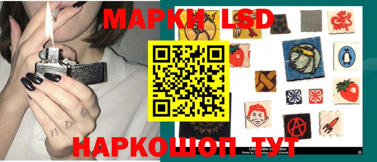 A PVP Рязань