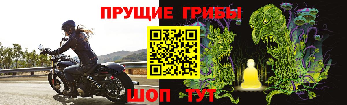 Рязань  Галлюциногенные грибы мухоморы  купить наркотик  Вход с VPN 